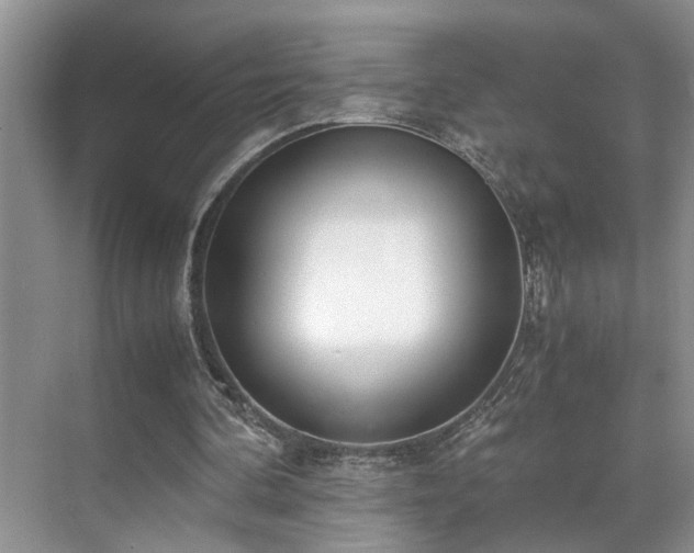 X0000071830292200606301326