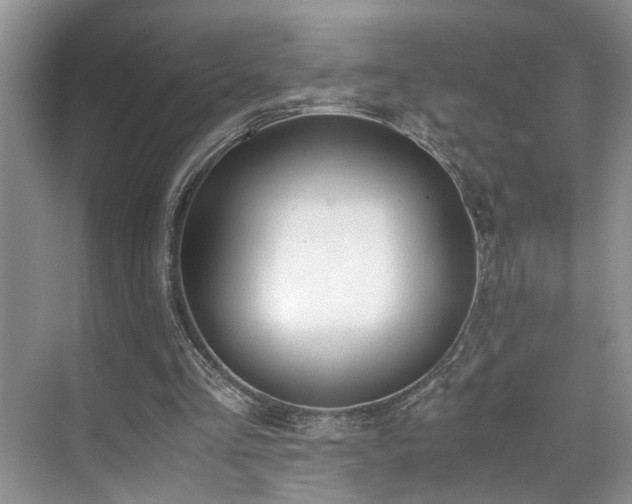 X0000071830293200606301326