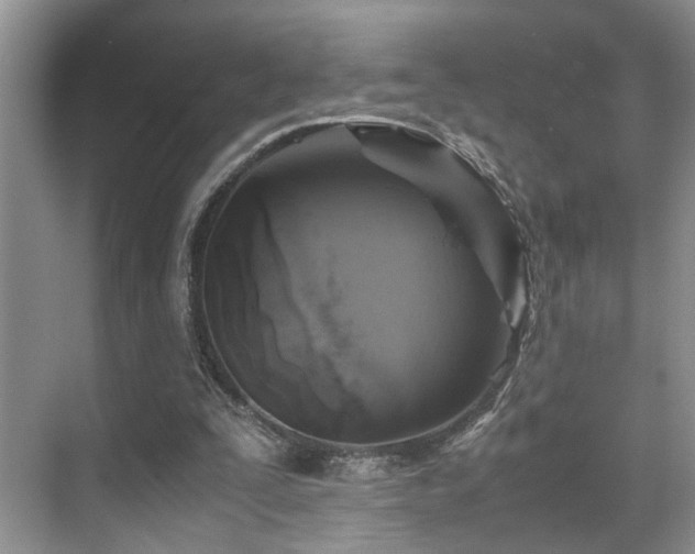 X0000071830295200606301326