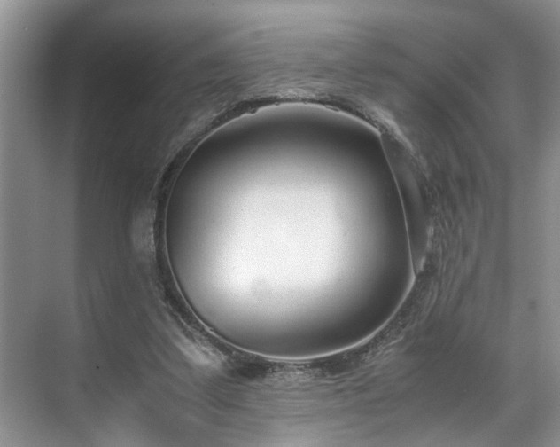 X0000071830299200606301326