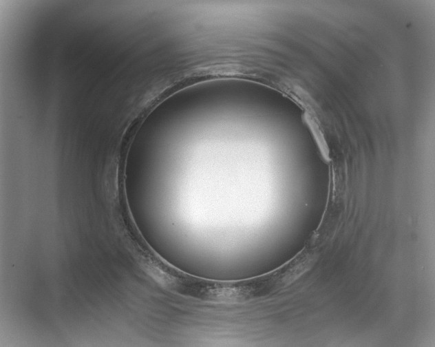 X0000071830301200606301326