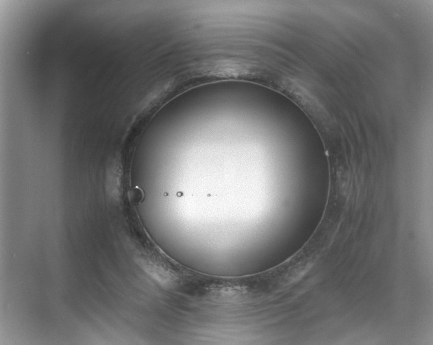 X0000071830304200606301326