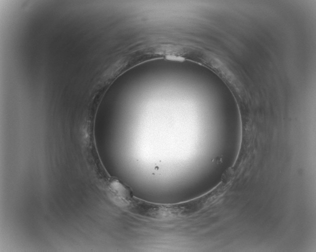 X0000071830305200606301326