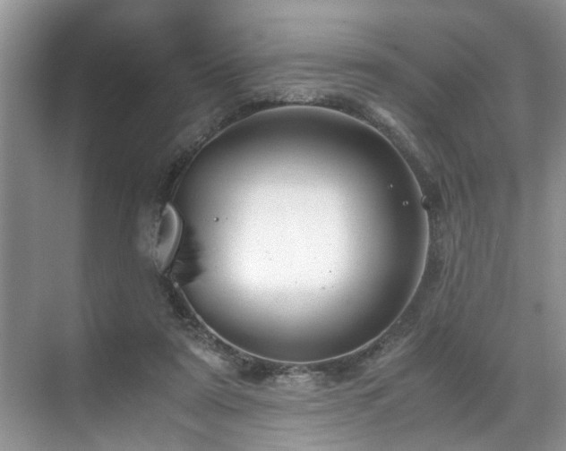 X0000071830307200606301326