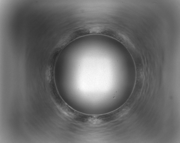 X0000071830311200606301325