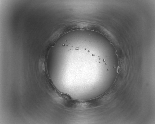 X0000071830313200606301325