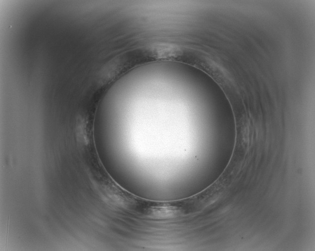 X0000071830316200606301325