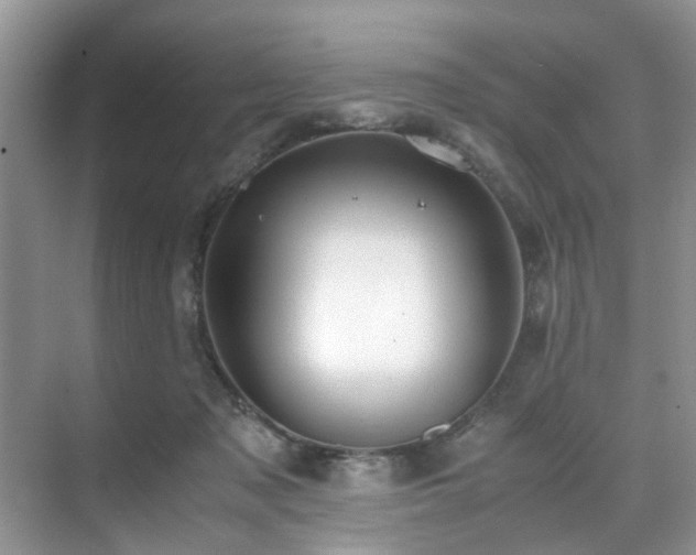 X0000071830317200606301325