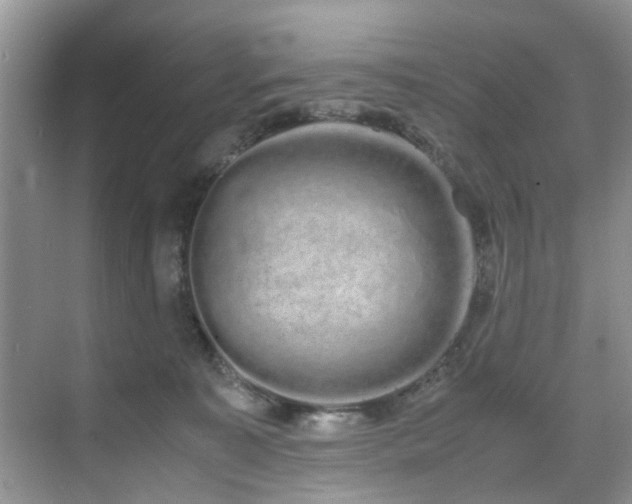 X0000071830323200606301325