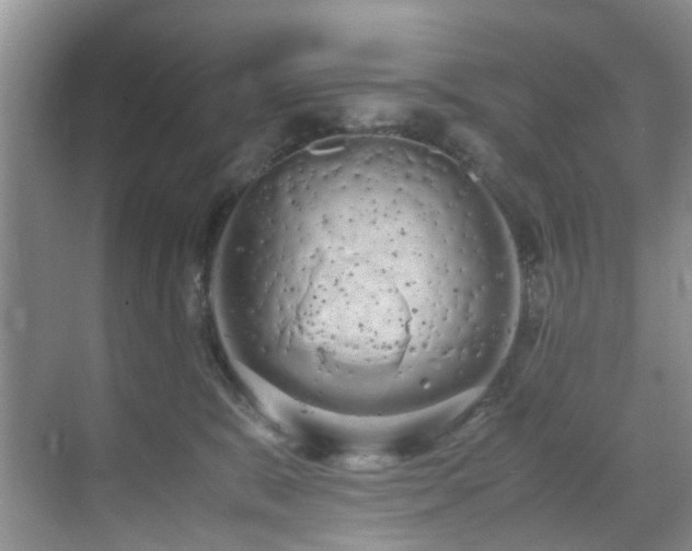 X0000071830327200606301325