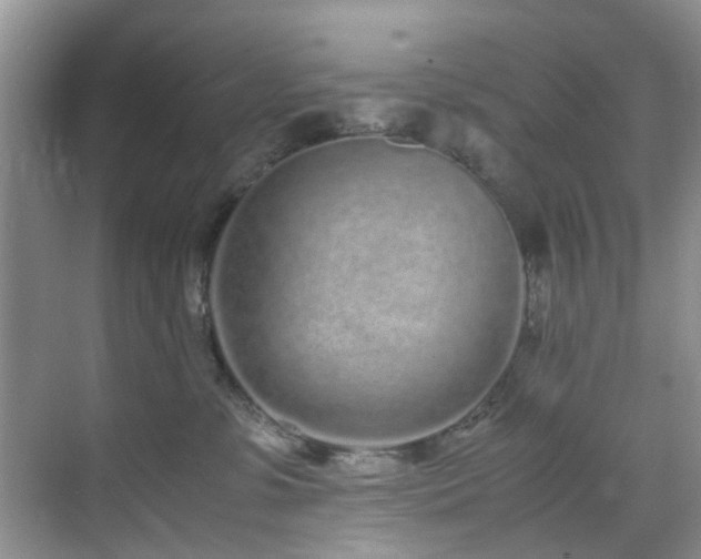 X0000071830331200606301325