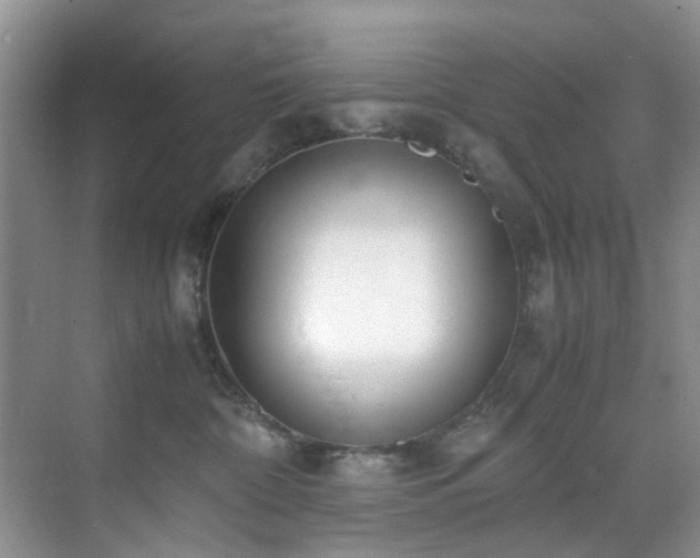 X0000071830332200606301325