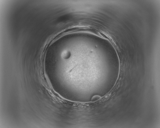 X0000071830337200606301324