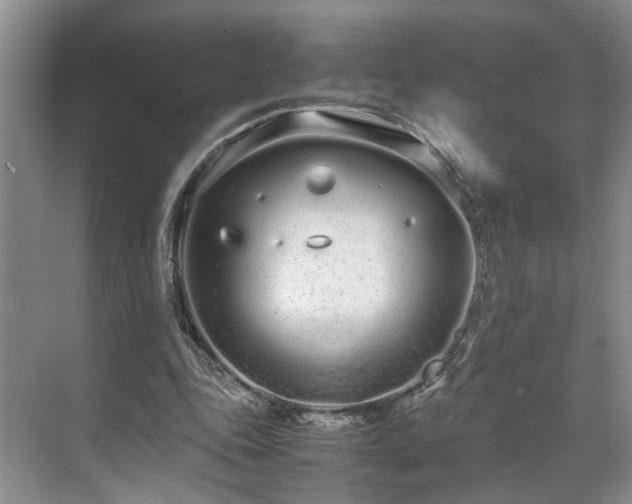 X0000071830343200606301324