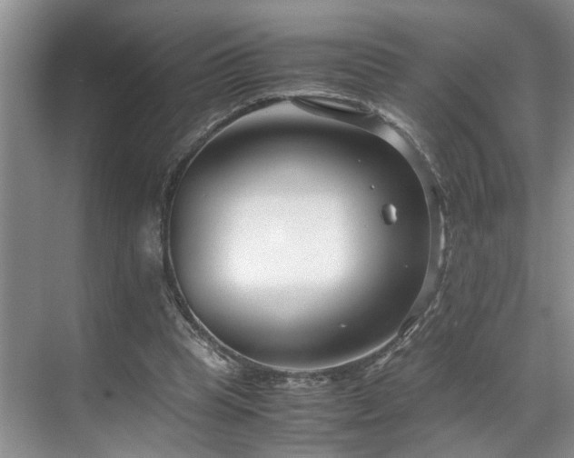 X0000071830345200606301324