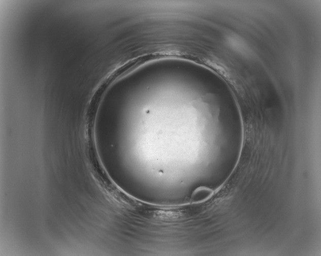 X0000071830347200606301324