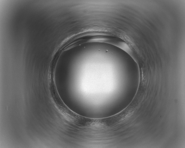 X0000071830348200606301324