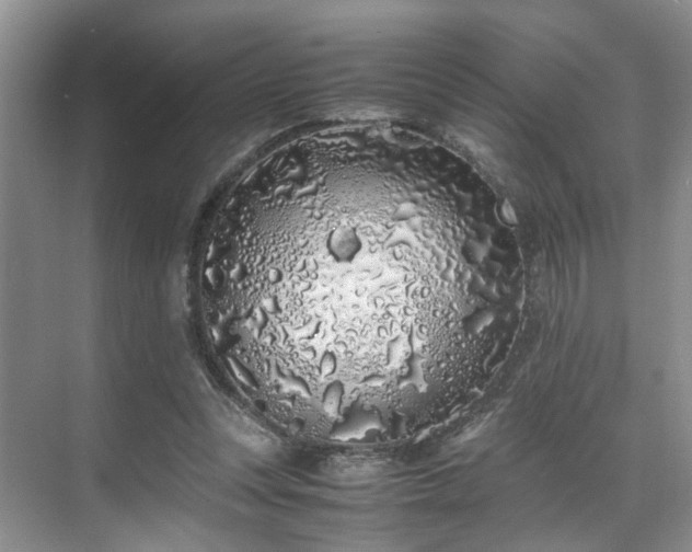 X0000071830351200606301324