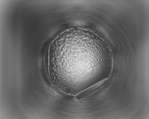 X0000071830355200606301325