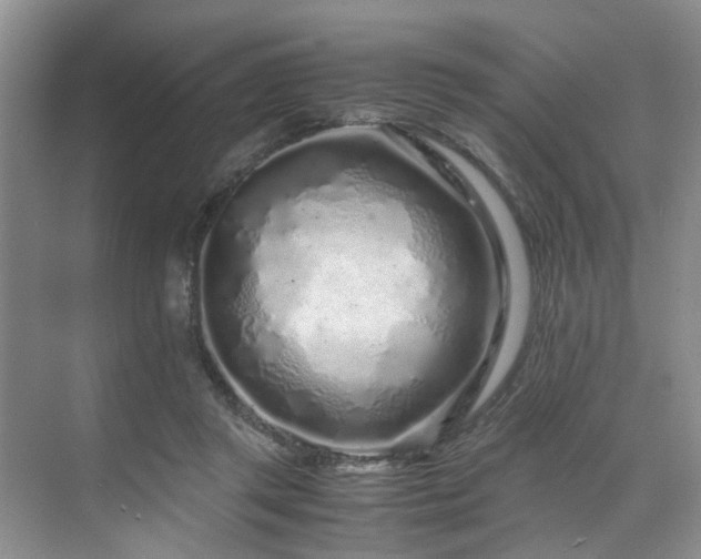 X0000071830357200606301325