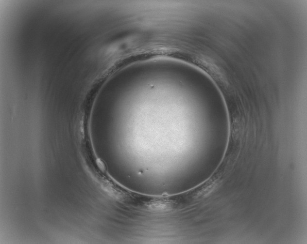 X0000071830358200606301325