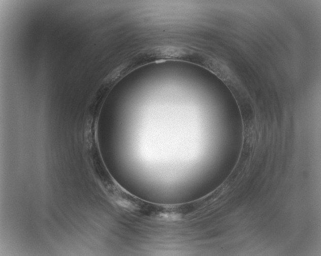 X0000071830360200606301325