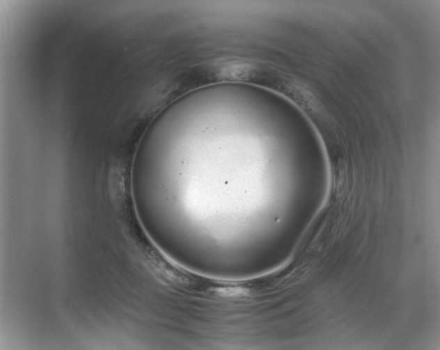 X0000071830363200606301325