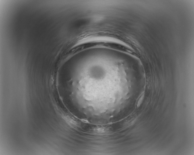 X0000071830365200606301325