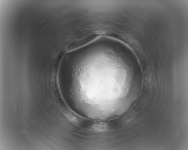 X0000071830369200606301325