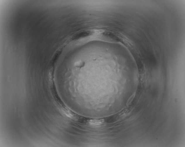 X0000071830373200606301325