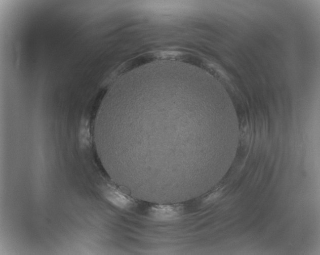 X0000071830381200606301325