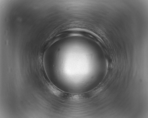 X0000071830382200606301325