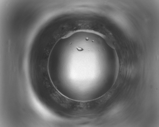 X0000071830383200606301325