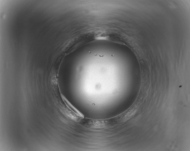 X0000071830384200606301325