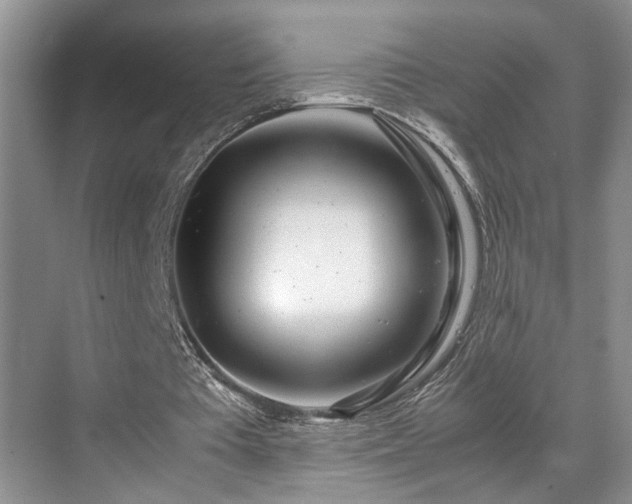 X0000071830385200606301324