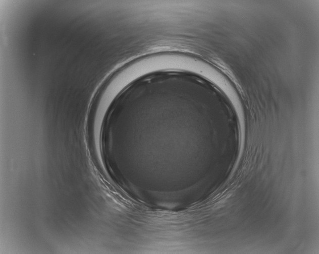 X0000071830387200606301324