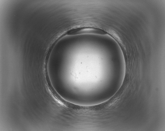 X0000071830389200606301324