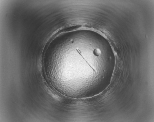 X0000071830390200606301324