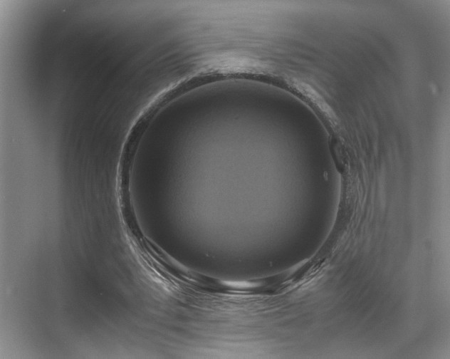 X0000071830391200606301324