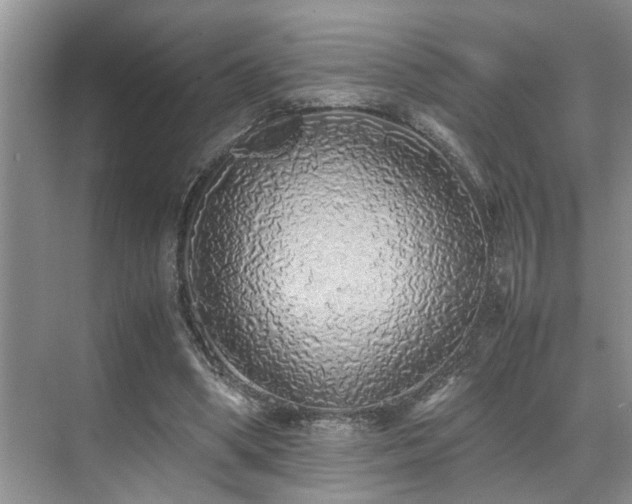 X0000071830394200606301324