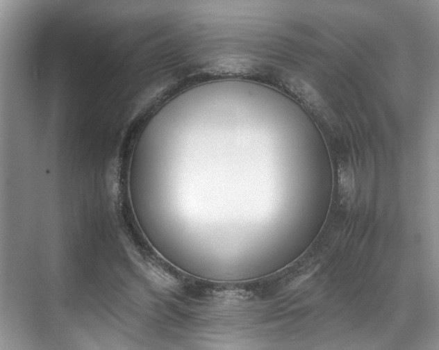 X0000071830396200606301324