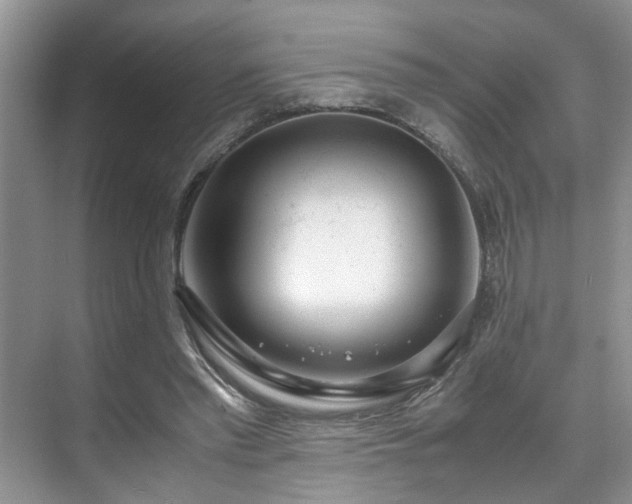 X0000071830397200606301324