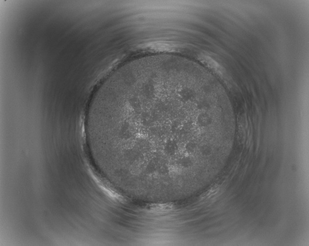 X0000071830398200606301324