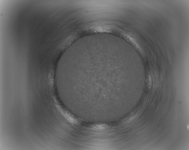 X0000071830402200606301324