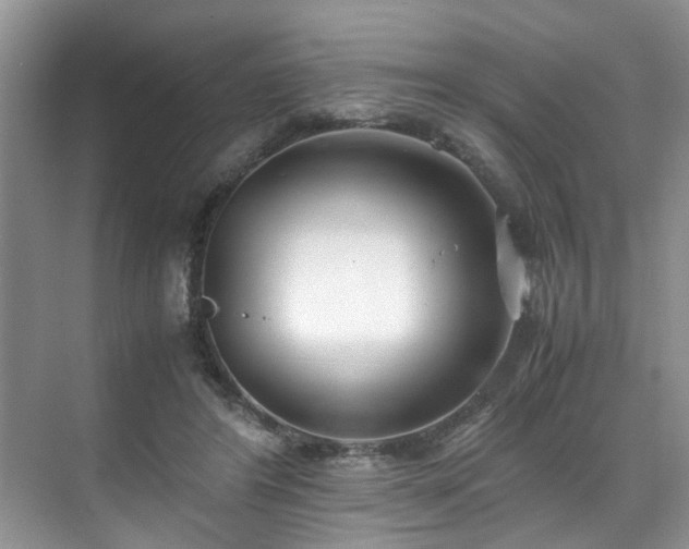 X0000071830404200606301324