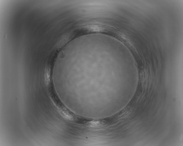 X0000071830406200606301324