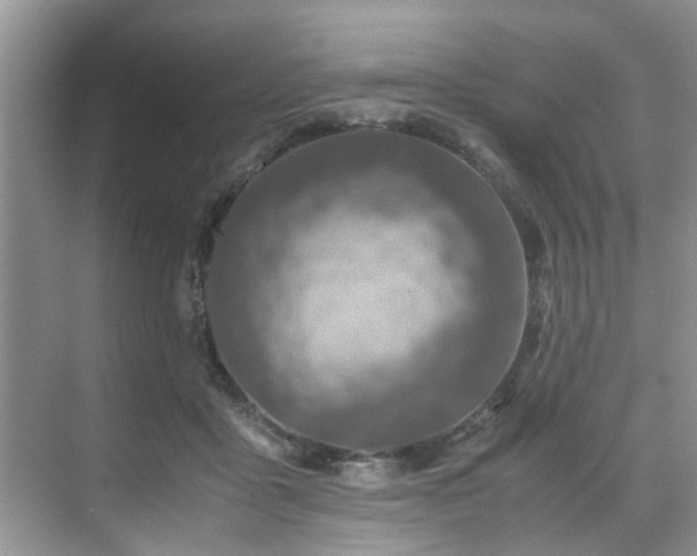 X0000071830411200606301324