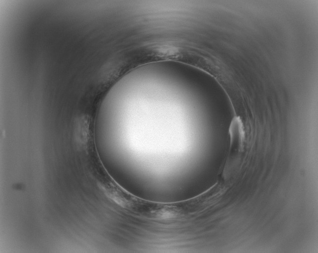 X0000071830412200606301324