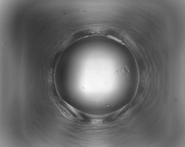 X0000071830413200606301324