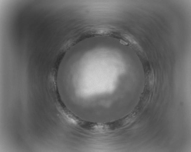 X0000071830415200606301324